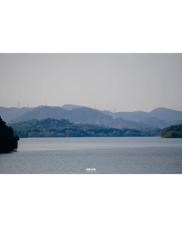 深圳8大小眾打卡好去處📷懸崖海景7-11、粉紙扇花海絕美必去🌸🌊