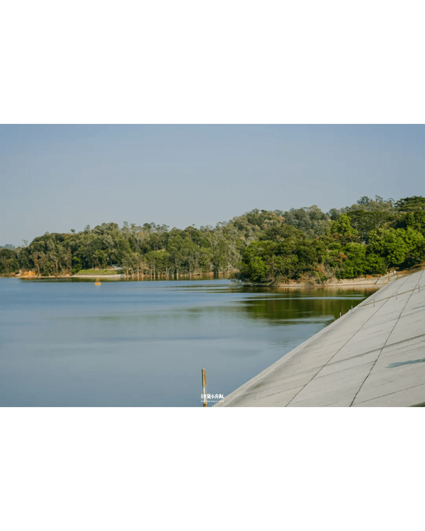 深圳8大小眾打卡好去處📷懸崖海景7-11、粉紙扇花海絕美必去🌸🌊