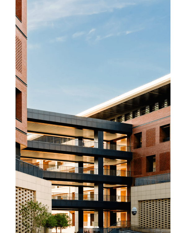 深圳8大小眾打卡好去處📷懸崖海景7-11、粉紙扇花海絕美必去🌸🌊