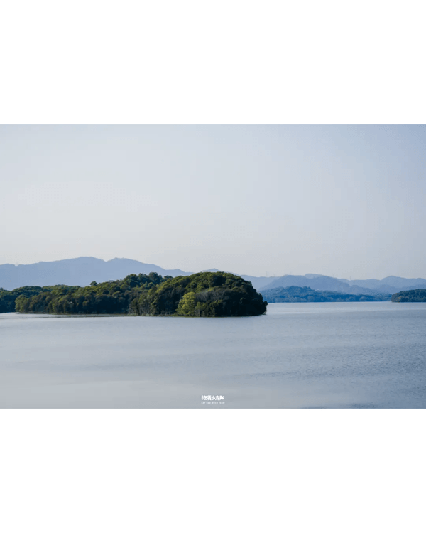 深圳8大小眾打卡好去處📷懸崖海景7-11、粉紙扇花海絕美必去🌸🌊
