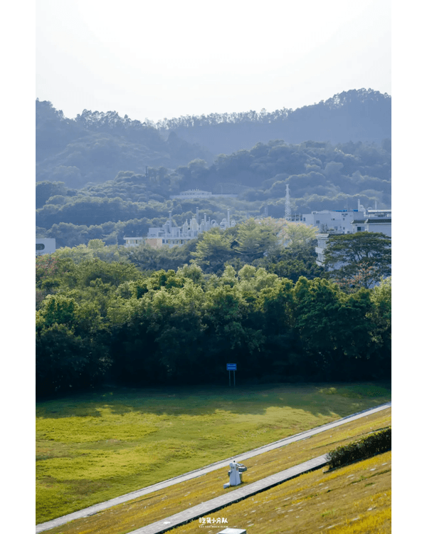深圳8大小眾打卡好去處📷懸崖海景7-11、粉紙扇花海絕美必去🌸🌊