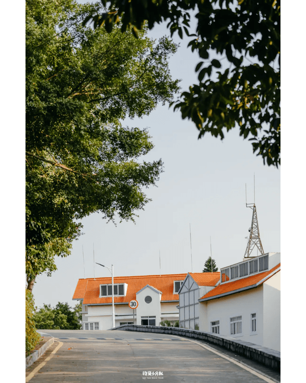 深圳8大小眾打卡好去處📷懸崖海景7-11、粉紙扇花海絕美必去🌸🌊