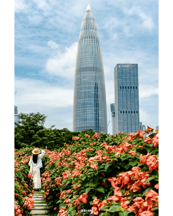 深圳8大小眾打卡好去處📷懸崖海景7-11、粉紙扇花海絕美必去🌸🌊