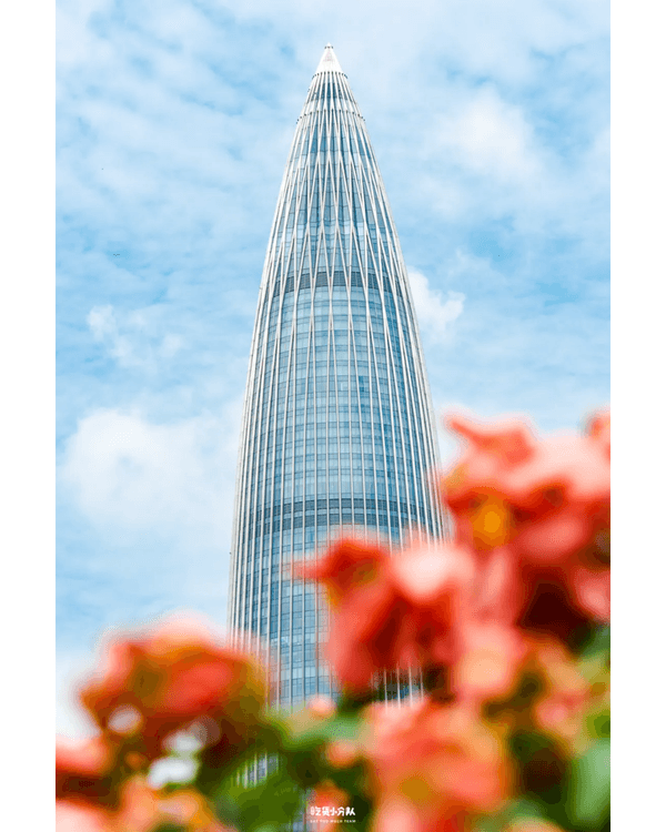 深圳8大小眾打卡好去處📷懸崖海景7-11、粉紙扇花海絕美必去🌸🌊
