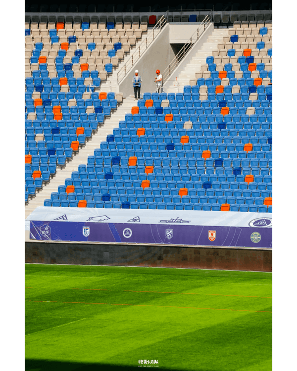 深圳8大小眾打卡好去處📷懸崖海景7-11、粉紙扇花海絕美必去🌸🌊