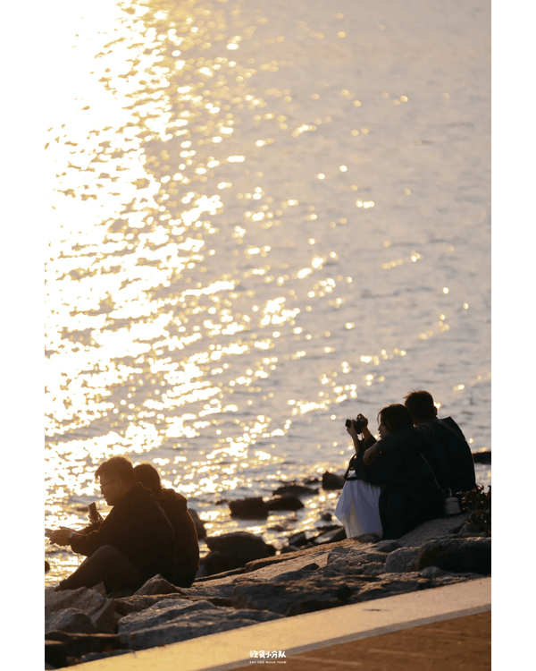 深圳8大小眾打卡好去處📷懸崖海景7-11、粉紙扇花海絕美必去🌸🌊