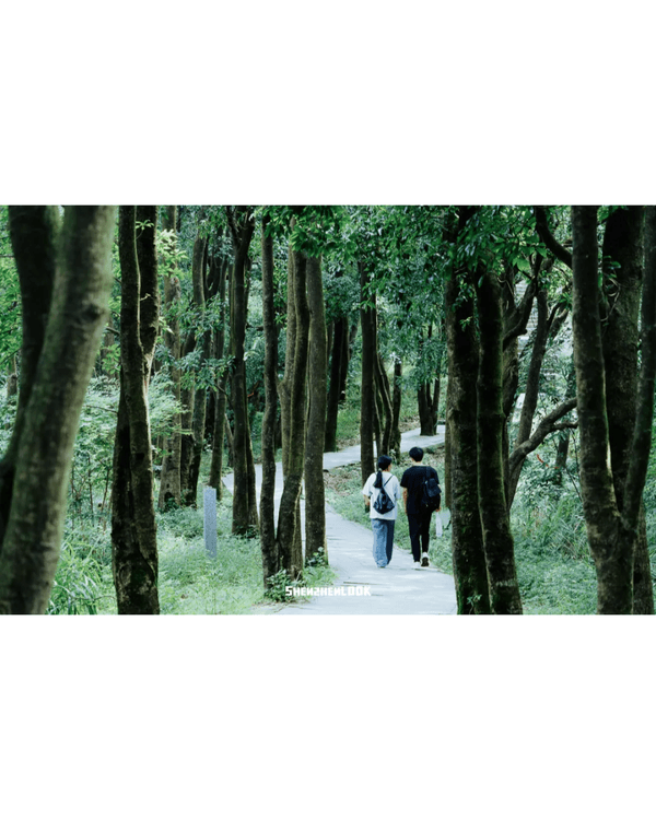 深圳行山｜寶安鳳凰山森林公園郊遊必去🌿新手友好之餘仲可去宋末古廟祈福❗
