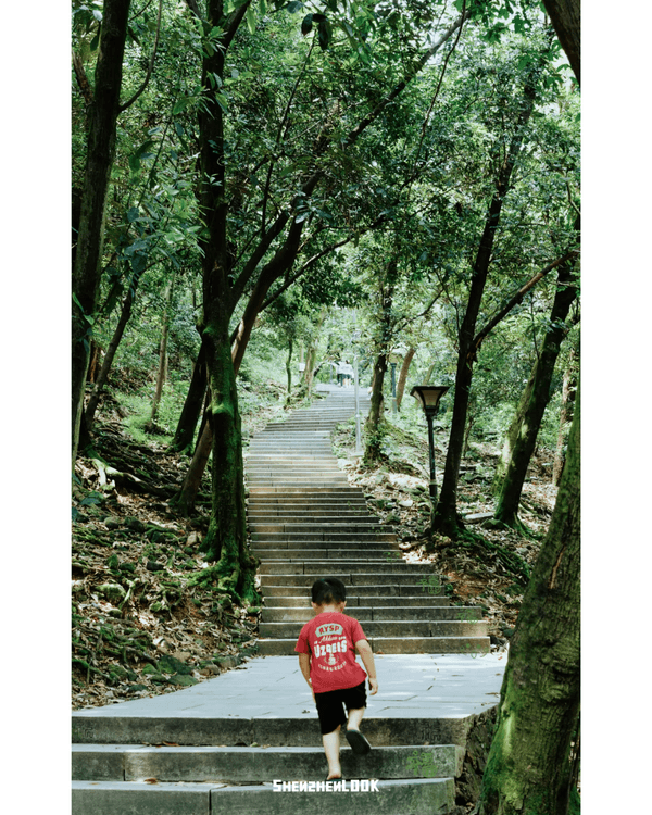 深圳行山｜寶安鳳凰山森林公園郊遊必去🌿新手友好之餘仲可去宋末古廟祈福❗