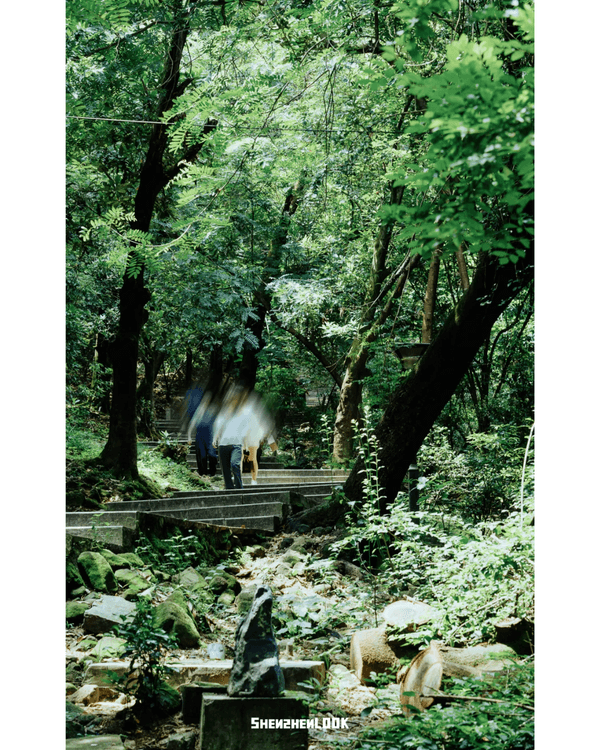 深圳行山｜寶安鳳凰山森林公園郊遊必去🌿新手友好之餘仲可去宋末古廟祈福❗