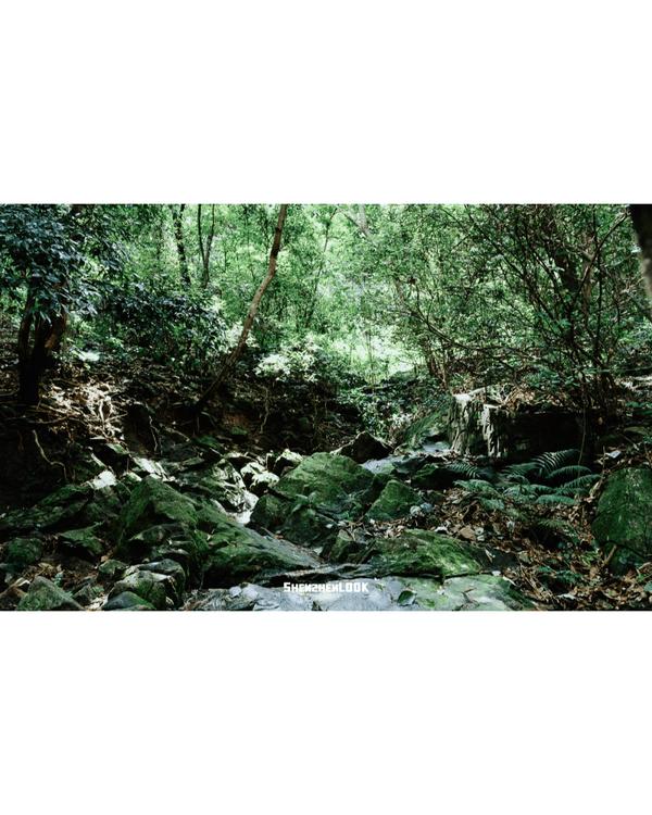 深圳行山｜寶安鳳凰山森林公園郊遊必去🌿新手友好之餘仲可去宋末古廟祈福❗