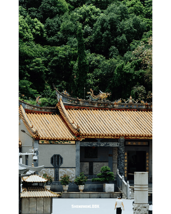 深圳行山｜寶安鳳凰山森林公園郊遊必去🌿新手友好之餘仲可去宋末古廟祈福❗