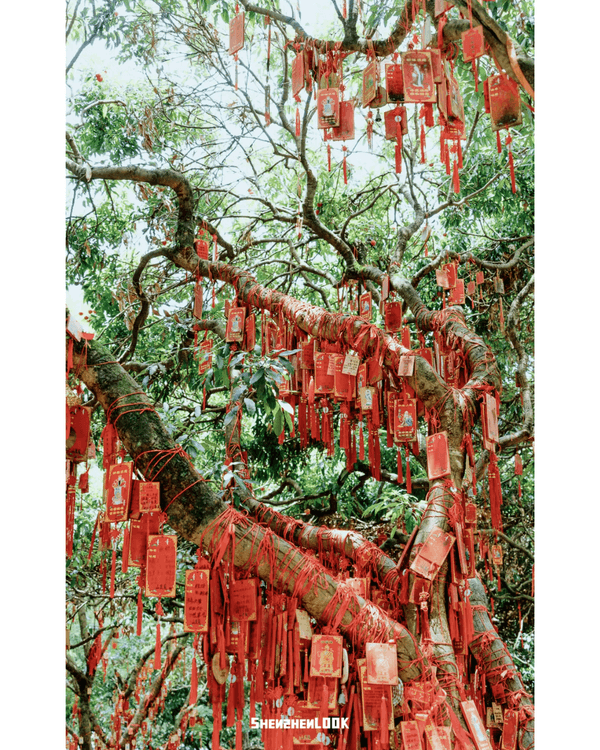 深圳行山｜寶安鳳凰山森林公園郊遊必去🌿新手友好之餘仲可去宋末古廟祈福❗