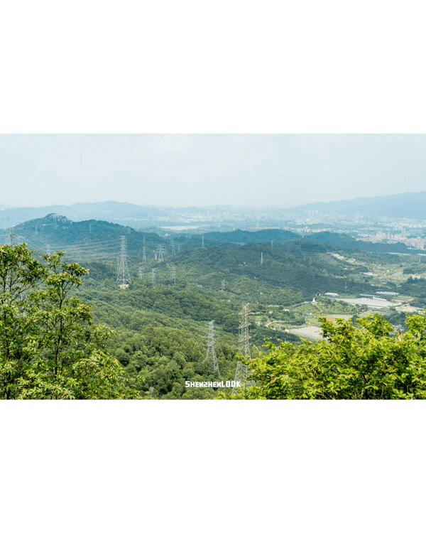 深圳行山｜寶安鳳凰山森林公園郊遊必去🌿新手友好之餘仲可去宋末古廟祈福❗