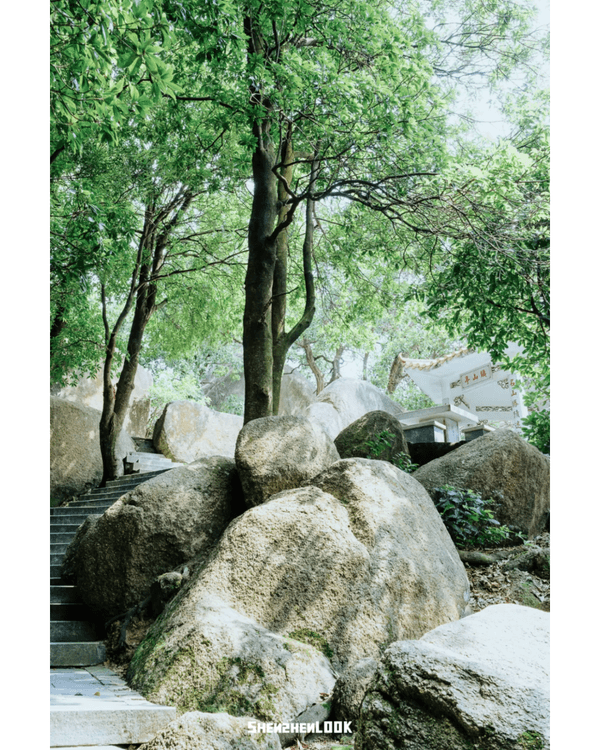 深圳行山｜寶安鳳凰山森林公園郊遊必去🌿新手友好之餘仲可去宋末古廟祈福❗