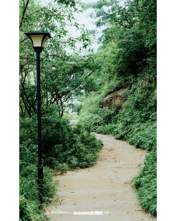 深圳行山｜寶安鳳凰山森林公園郊遊必去🌿新手友好之餘仲可去宋末古廟祈福❗