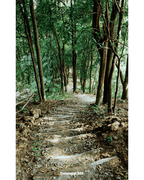 深圳行山｜寶安鳳凰山森林公園郊遊必去🌿新手友好之餘仲可去宋末古廟祈福❗