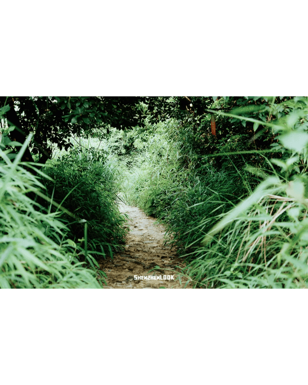 深圳行山｜寶安鳳凰山森林公園郊遊必去🌿新手友好之餘仲可去宋末古廟祈福❗