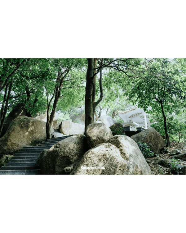 深圳行山｜寶安鳳凰山森林公園郊遊必去🌿新手友好之餘仲可去宋末古廟祈福❗