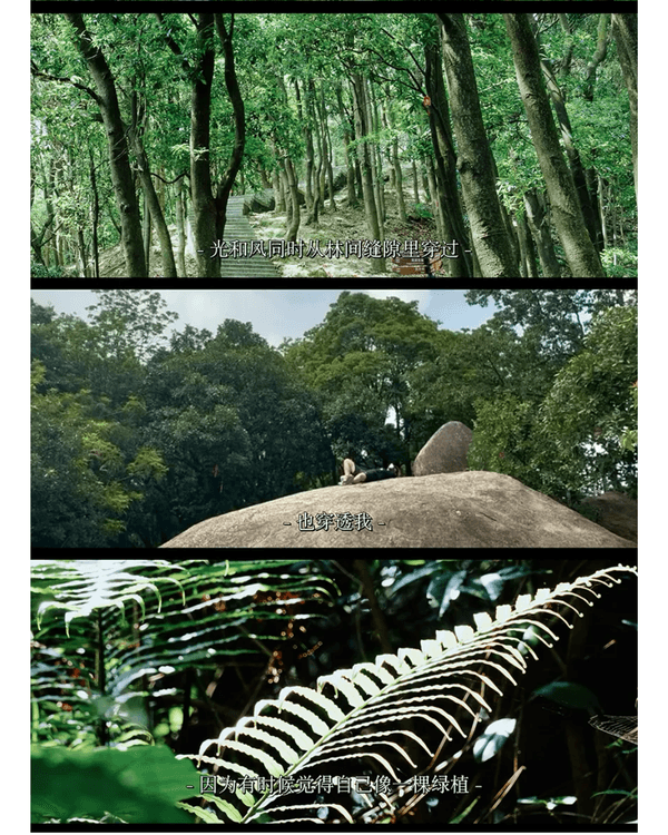 深圳行山｜寶安鳳凰山森林公園郊遊必去🌿新手友好之餘仲可去宋末古廟祈福❗