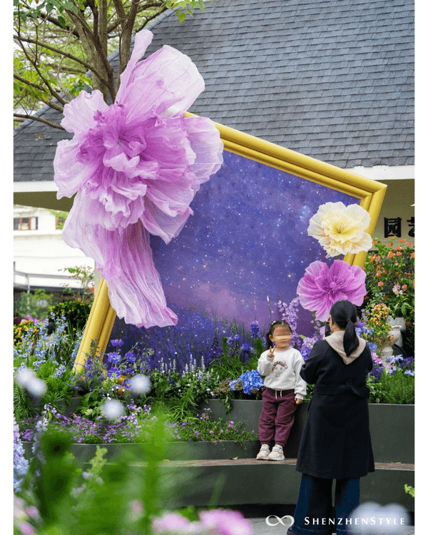 深圳荷蘭花卉小鎮鬱金香花海盛開🌷白色風車仿似童話故事✨紫藤蘿瀑布超夢幻必打卡