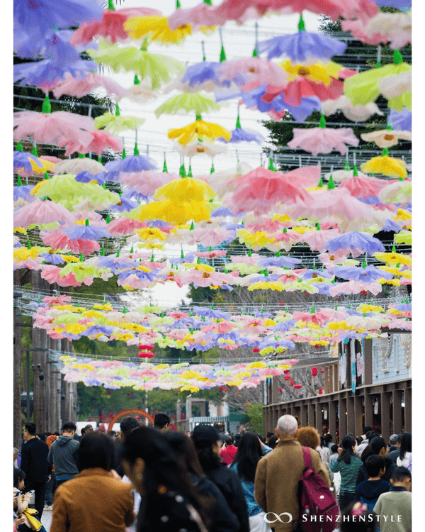 深圳荷蘭花卉小鎮鬱金香花海盛開🌷白色風車仿似童話故事✨紫藤蘿瀑布超夢幻必打卡