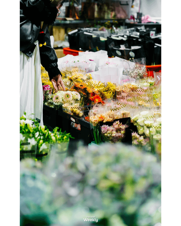 深圳地鐵6號線攻略🚇沿線18大熱門景點整理❗油菜花海/小火車/美術館必去🤩