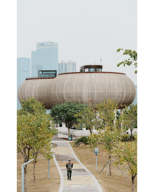 深圳地鐵6號線攻略🚇沿線18大熱門景點整理❗油菜花海/小火車/美術館必去🤩