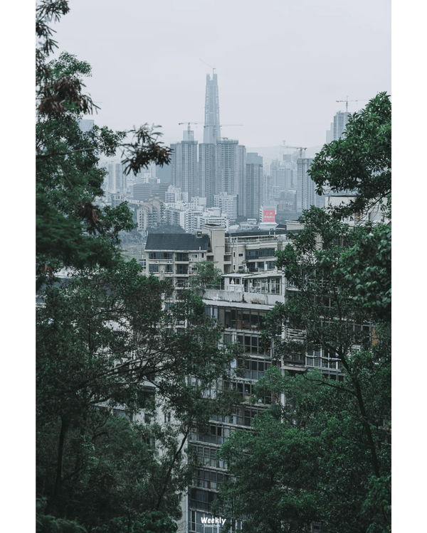 深圳地鐵6號線攻略🚇沿線18大熱門景點整理❗油菜花海/小火車/美術館必去🤩