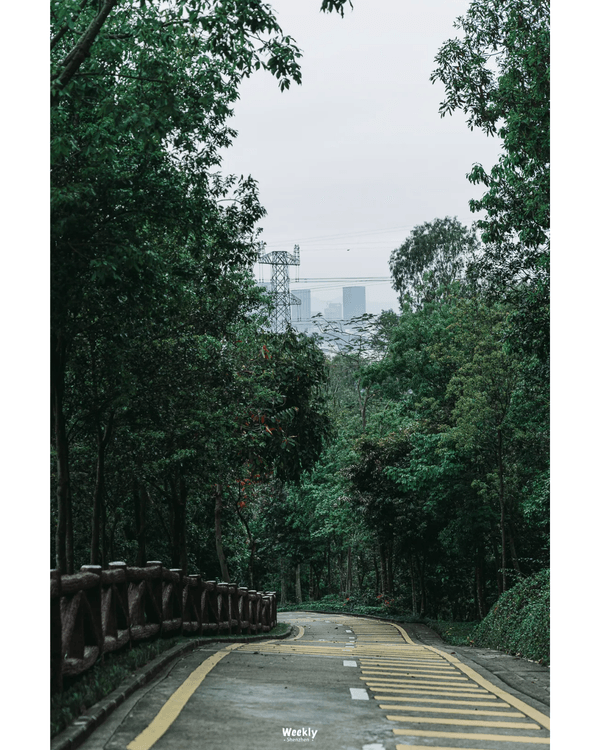 深圳地鐵6號線攻略🚇沿線18大熱門景點整理❗油菜花海/小火車/美術館必去🤩