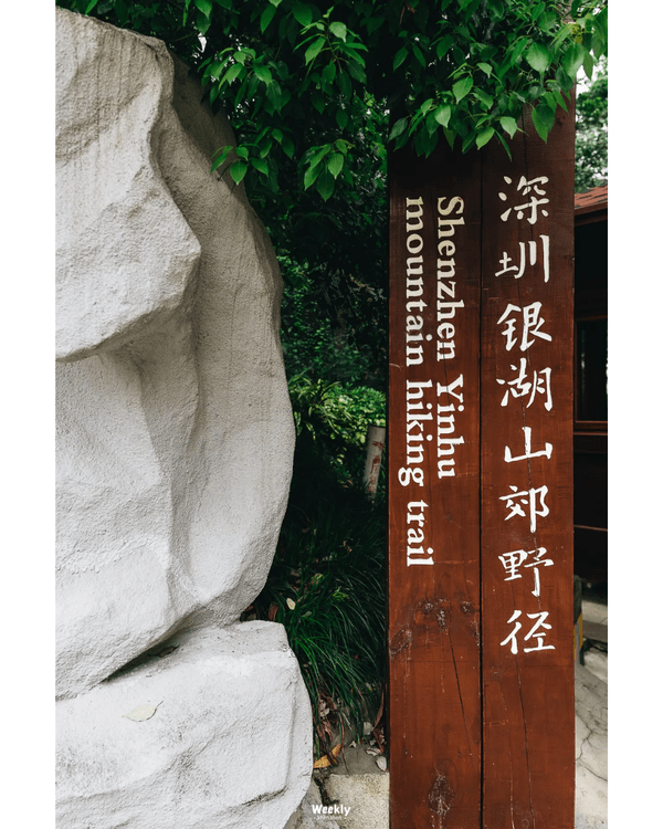 深圳地鐵6號線攻略🚇沿線18大熱門景點整理❗油菜花海/小火車/美術館必去🤩