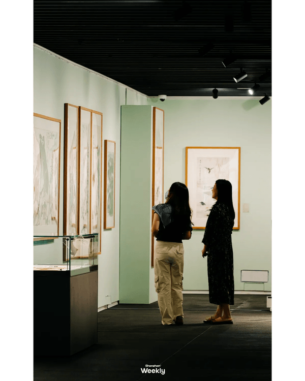 深圳地鐵6號線攻略🚇沿線18大熱門景點整理❗油菜花海/小火車/美術館必去🤩