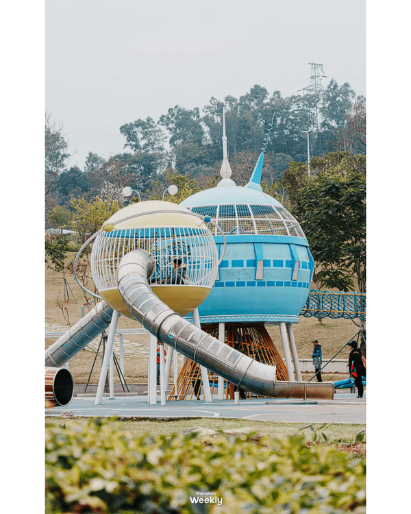 深圳地鐵6號線攻略🚇沿線18大熱門景點整理❗油菜花海/小火車/美術館必去🤩