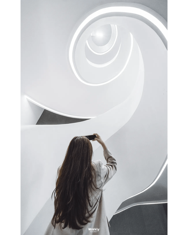 深圳地鐵6號線攻略🚇沿線18大熱門景點整理❗油菜花海/小火車/美術館必去🤩