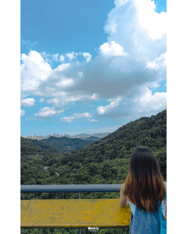 深圳地鐵6號線攻略🚇沿線18大熱門景點整理❗油菜花海/小火車/美術館必去🤩