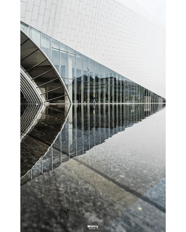 深圳地鐵6號線攻略🚇沿線18大熱門景點整理❗油菜花海/小火車/美術館必去🤩