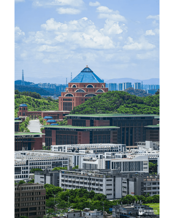 深圳地鐵6號線攻略🚇沿線18大熱門景點整理❗油菜花海/小火車/美術館必去🤩