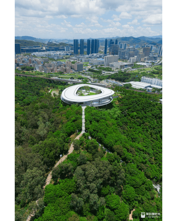 深圳地鐵6號線攻略🚇沿線18大熱門景點整理❗油菜花海/小火車/美術館必去🤩