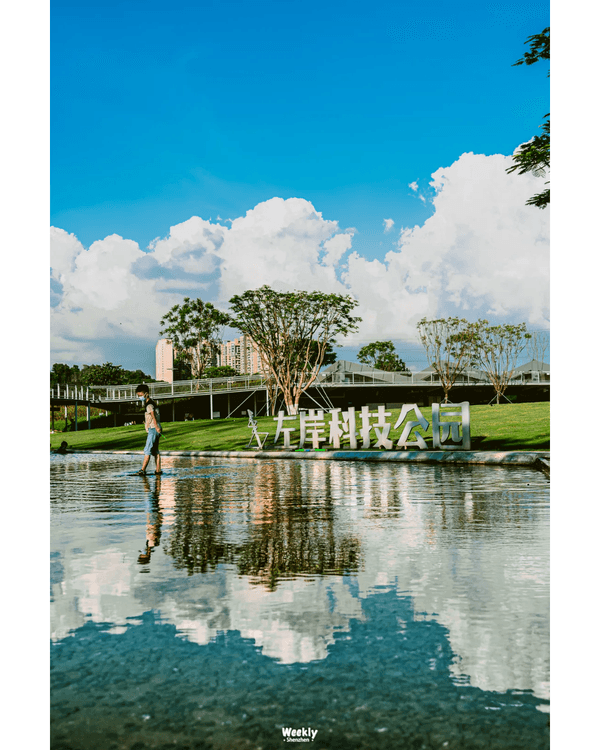 深圳地鐵6號線攻略🚇沿線18大熱門景點整理❗油菜花海/小火車/美術館必去🤩