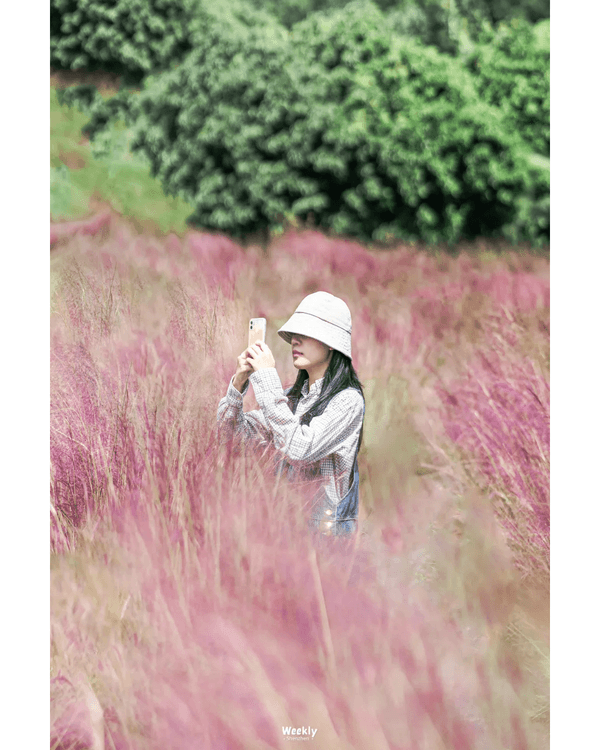 深圳地鐵6號線攻略🚇沿線18大熱門景點整理❗油菜花海/小火車/美術館必去🤩