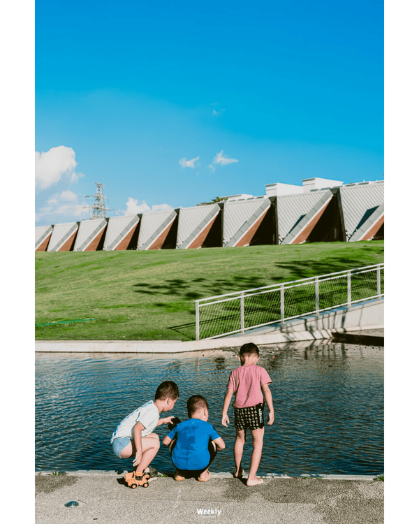 深圳地鐵6號線攻略🚇沿線18大熱門景點整理❗油菜花海/小火車/美術館必去🤩