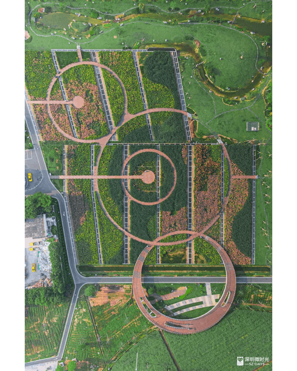 深圳地鐵6號線攻略🚇沿線18大熱門景點整理❗油菜花海/小火車/美術館必去🤩