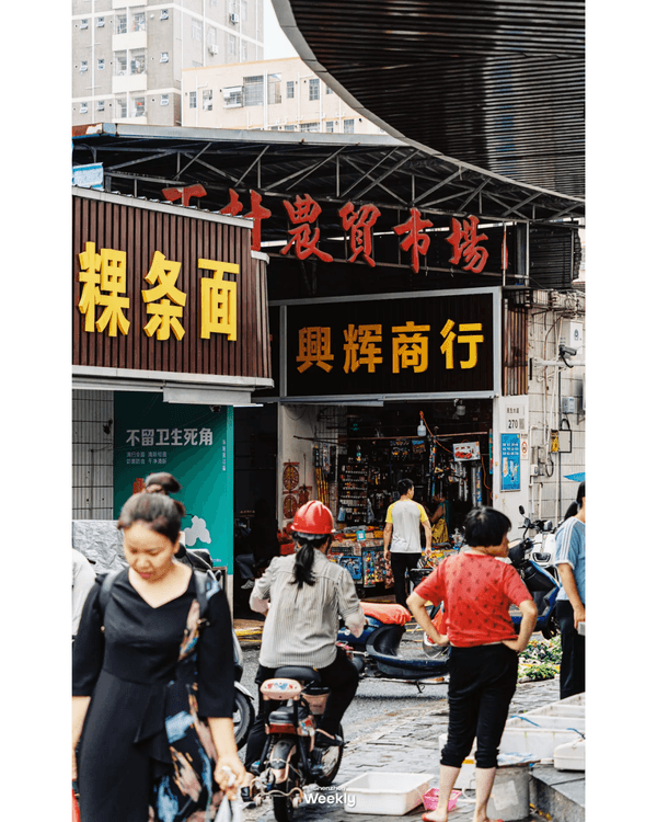 深圳地鐵6號線攻略🚇沿線18大熱門景點整理❗油菜花海/小火車/美術館必去🤩