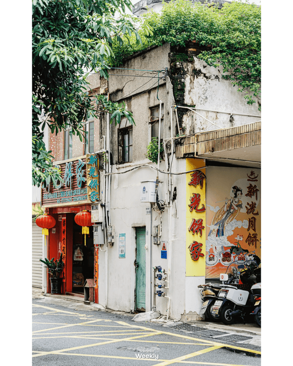 深圳地鐵6號線攻略🚇沿線18大熱門景點整理❗油菜花海/小火車/美術館必去🤩