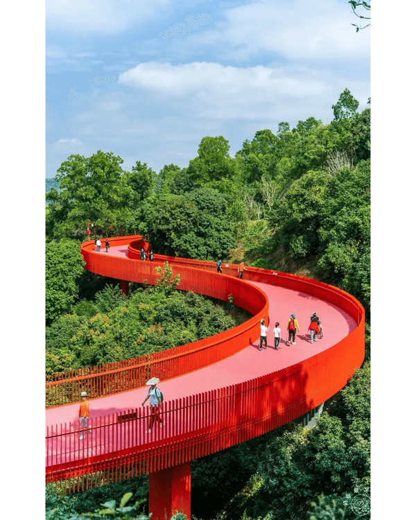 深圳地鐵6號線攻略🚇沿線18大熱門景點整理❗油菜花海/小火車/美術館必去🤩