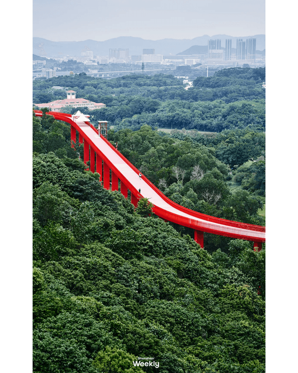 深圳地鐵6號線攻略🚇沿線18大熱門景點整理❗油菜花海/小火車/美術館必去🤩