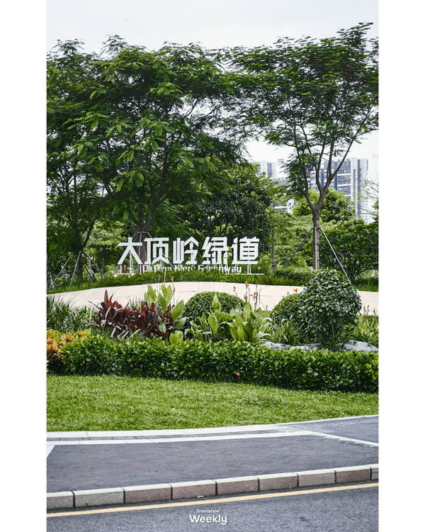 深圳地鐵6號線攻略🚇沿線18大熱門景點整理❗油菜花海/小火車/美術館必去🤩