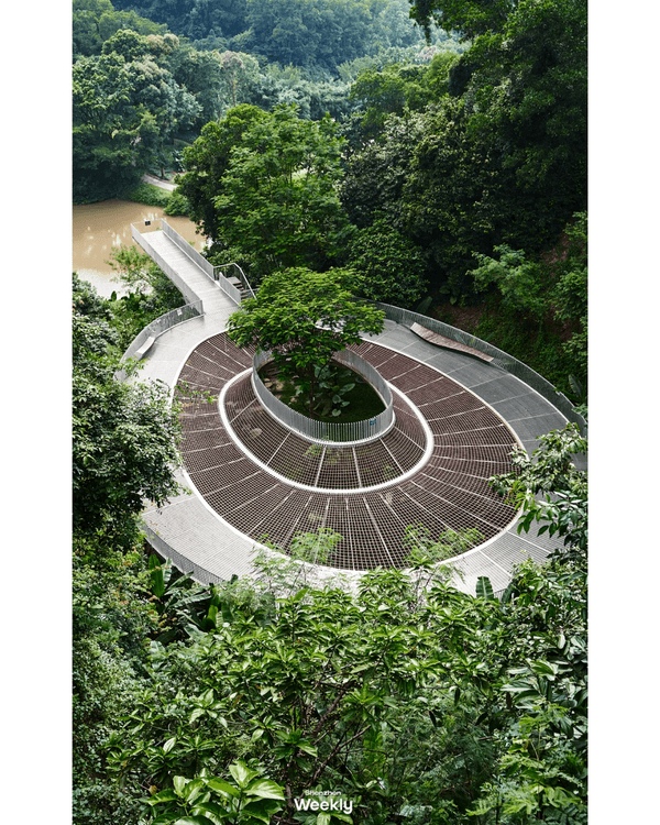 深圳地鐵6號線攻略🚇沿線18大熱門景點整理❗油菜花海/小火車/美術館必去🤩