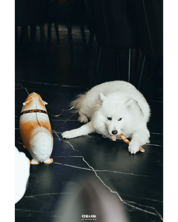 深圳Cafe☕7間必試維也納咖啡🤎狗狗造型忌廉勁啱打卡🐶仲寵物友善❗