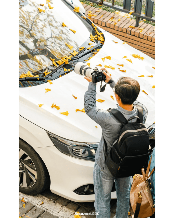 深圳南山黃花風鈴木開花🏵️延綿1公里超夢幻😍附最佳打卡機位教學