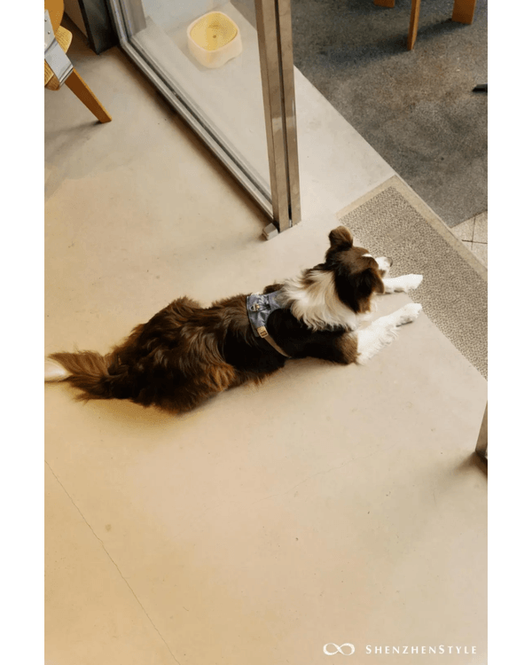 深圳蛇口5間必食特色Cafe☕海景木屋打卡一流🌊開心果巴斯克更不容錯過❗🍰